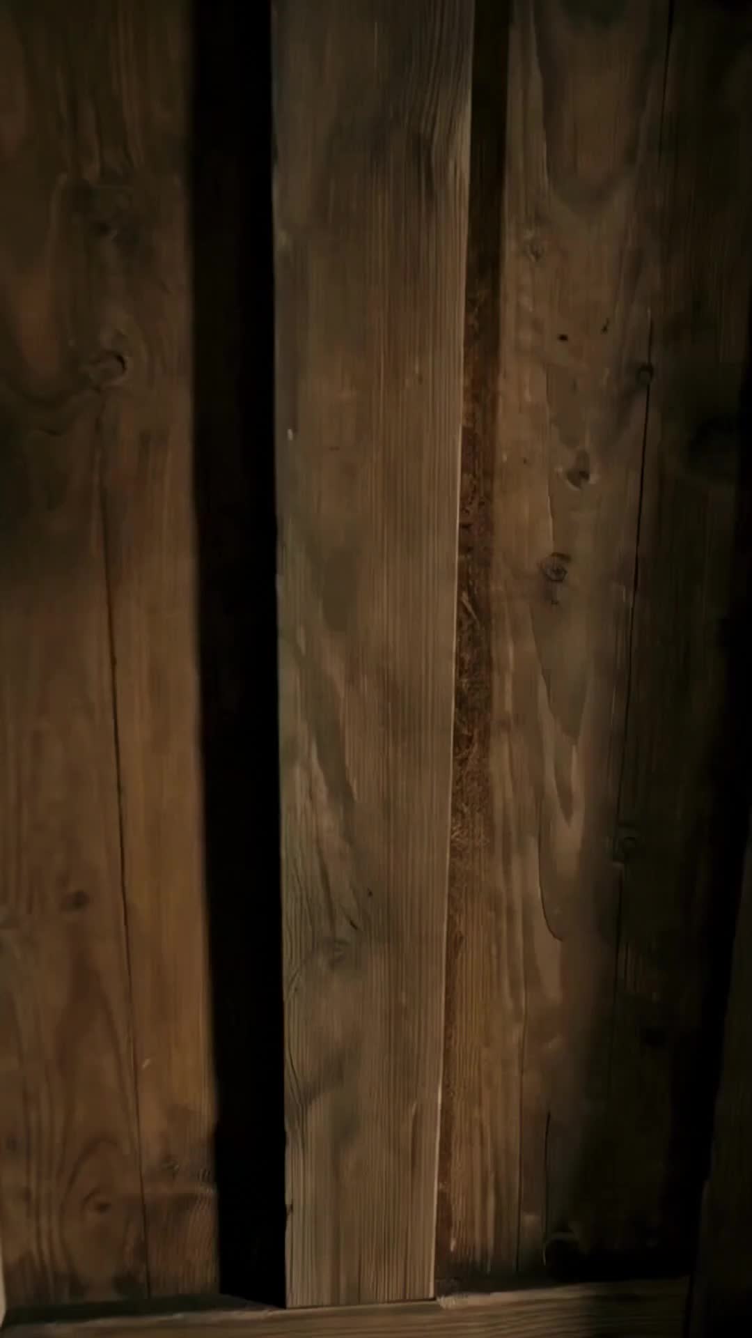 The Cowboy King's Promise Episode 7