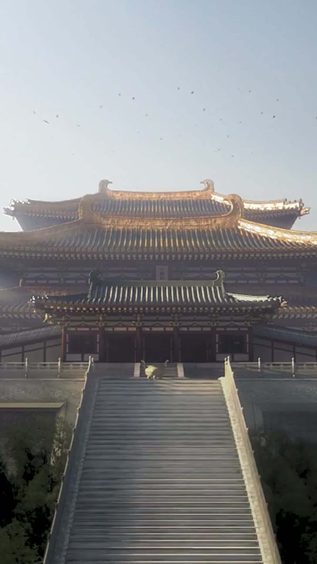 寒夜无温 第1集