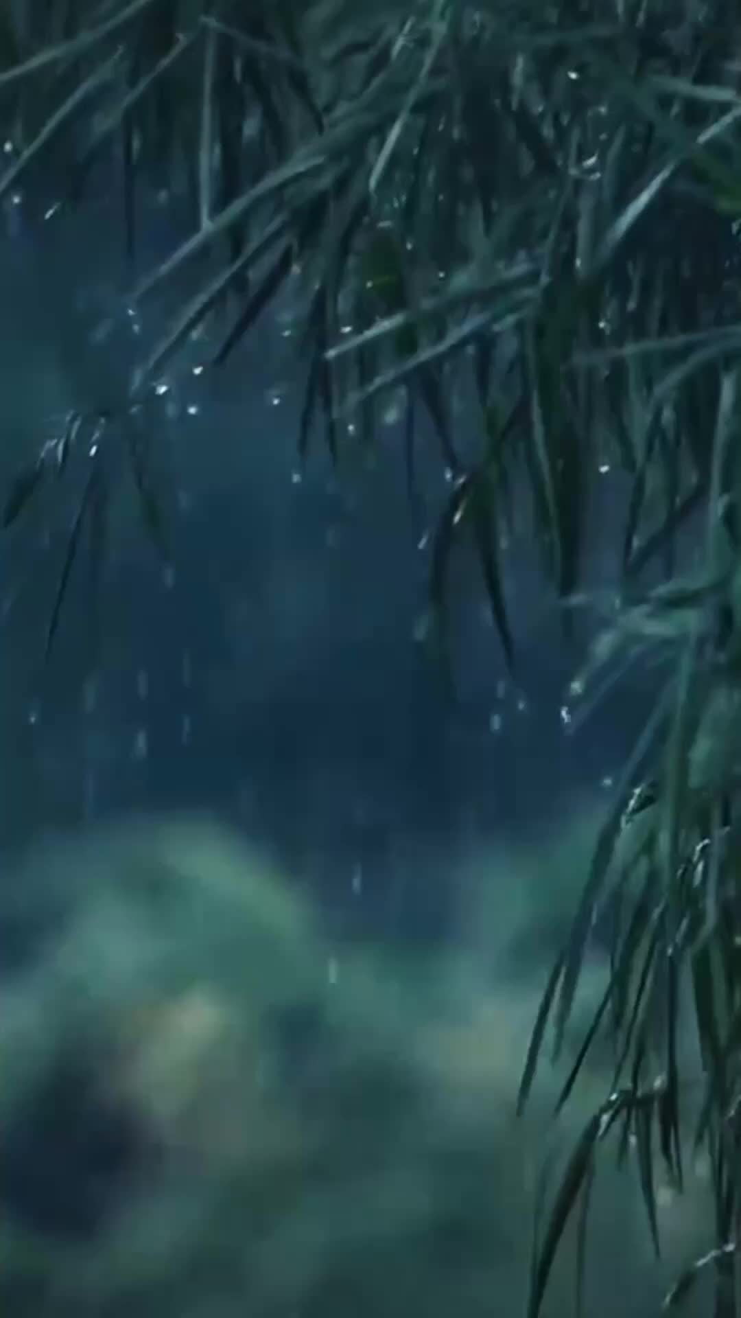 Ep 1