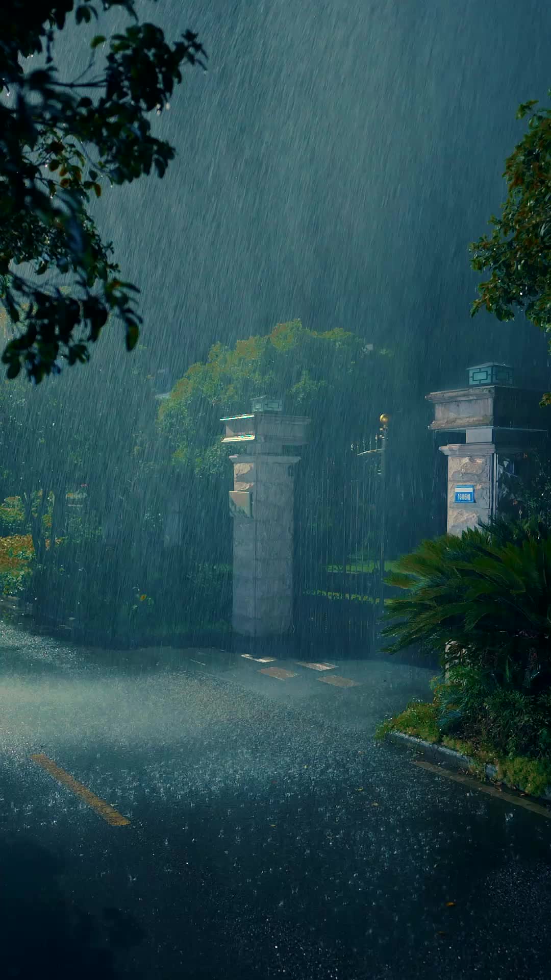 予我情深赠时欢 第1集