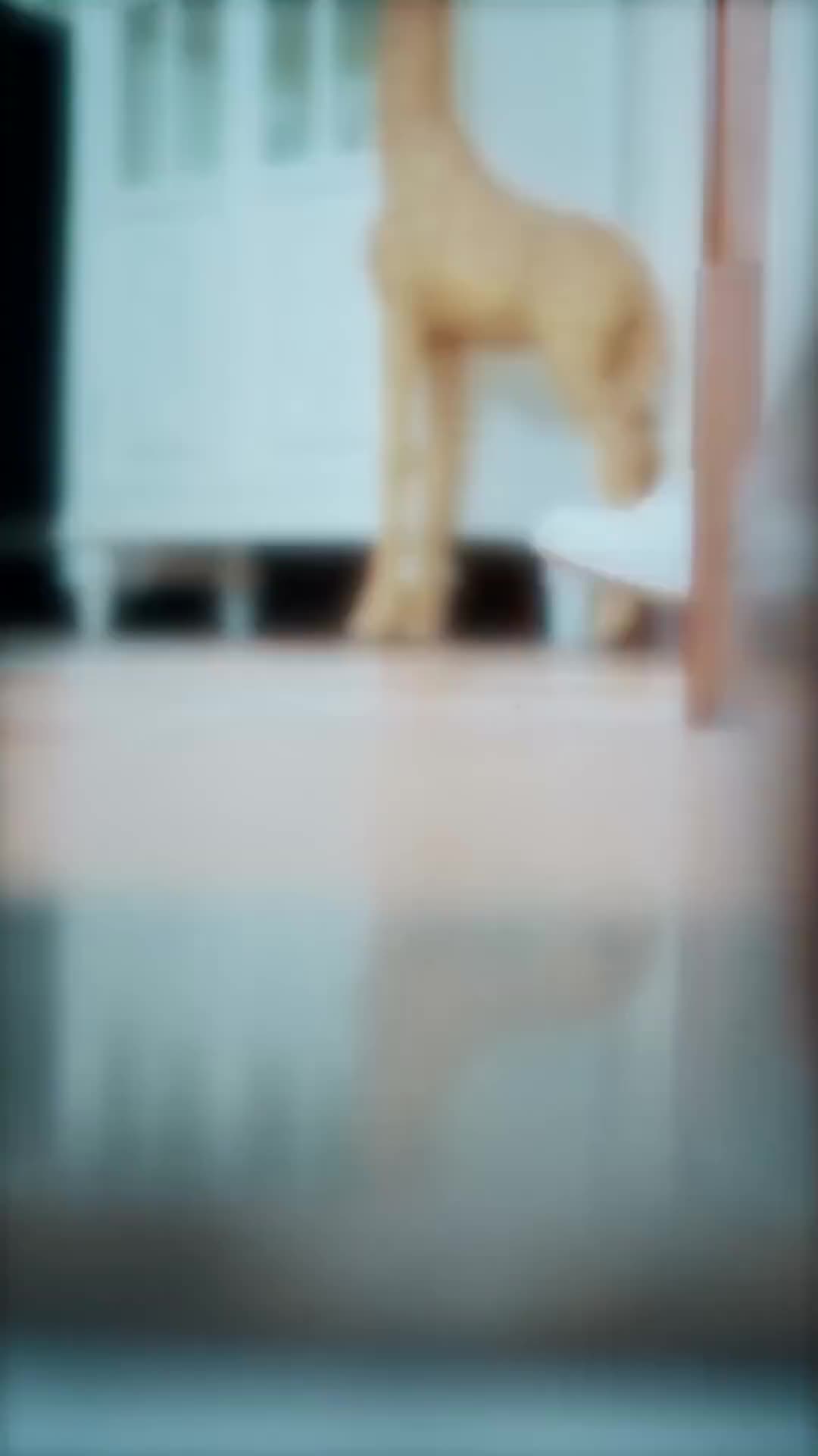 البحث عنها 2مجموعة
