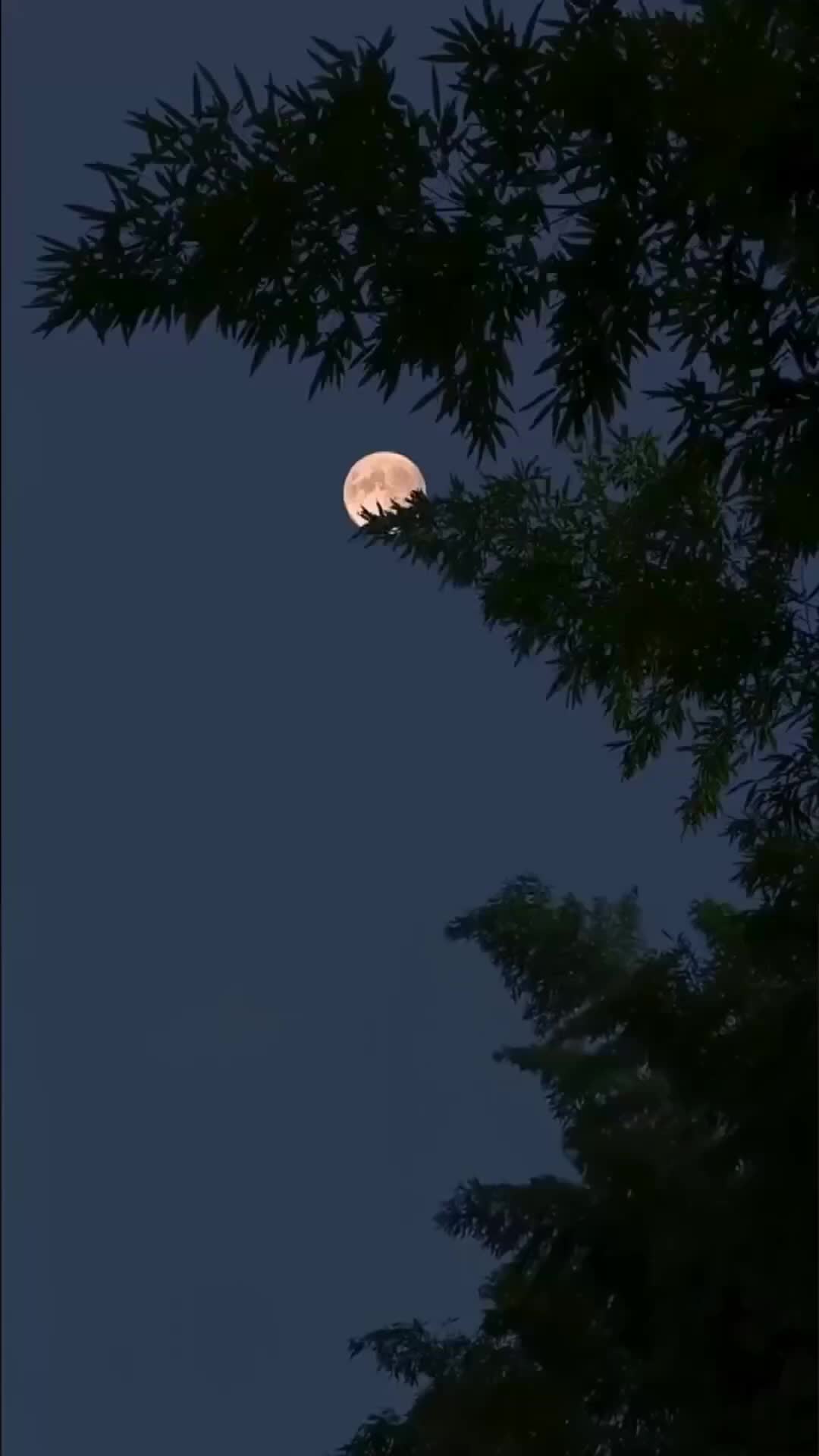 Setelah Cinta Terlambat Datang - Episode 18 - Episode 18