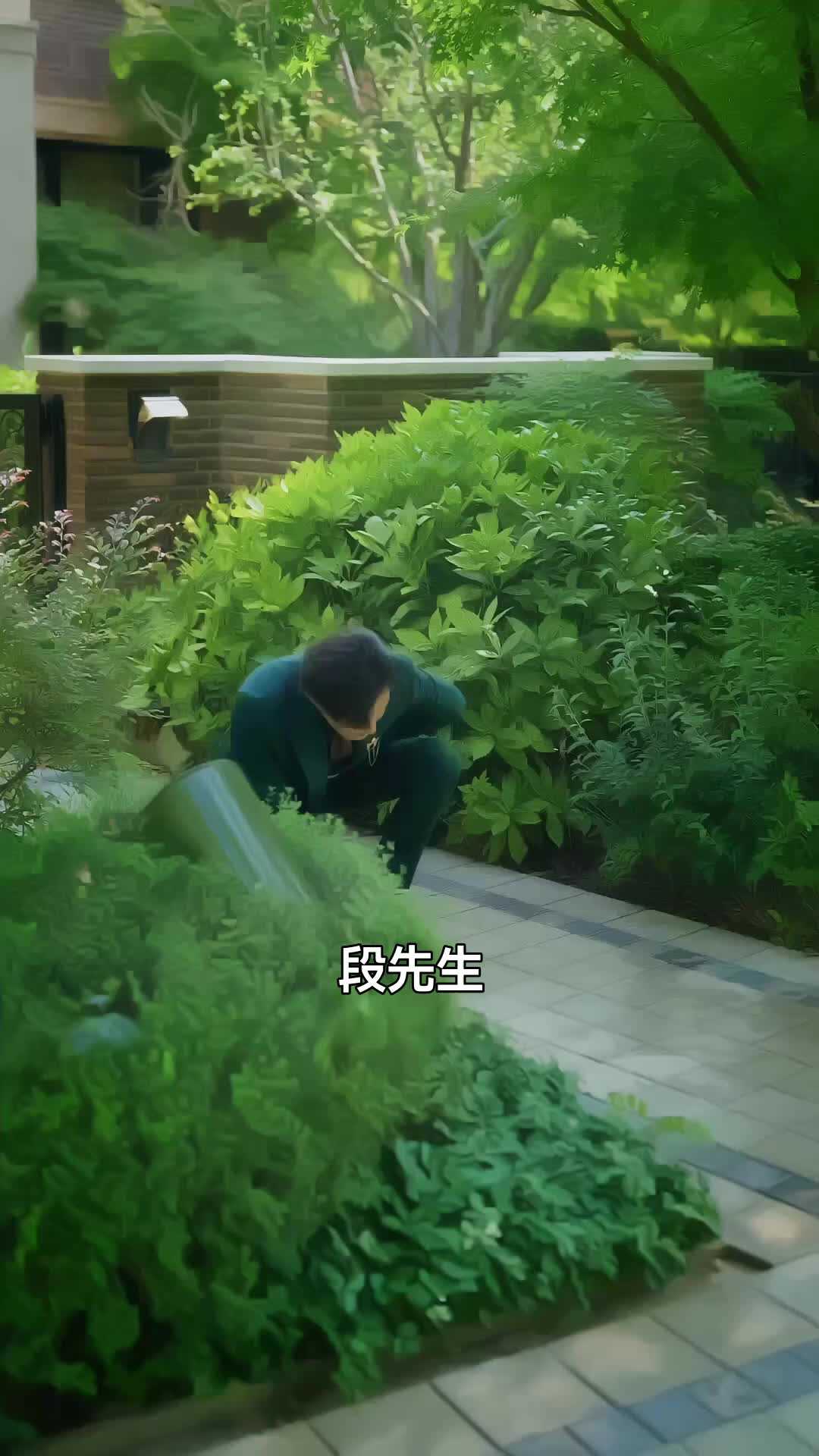 愛在雲海之上 第11集