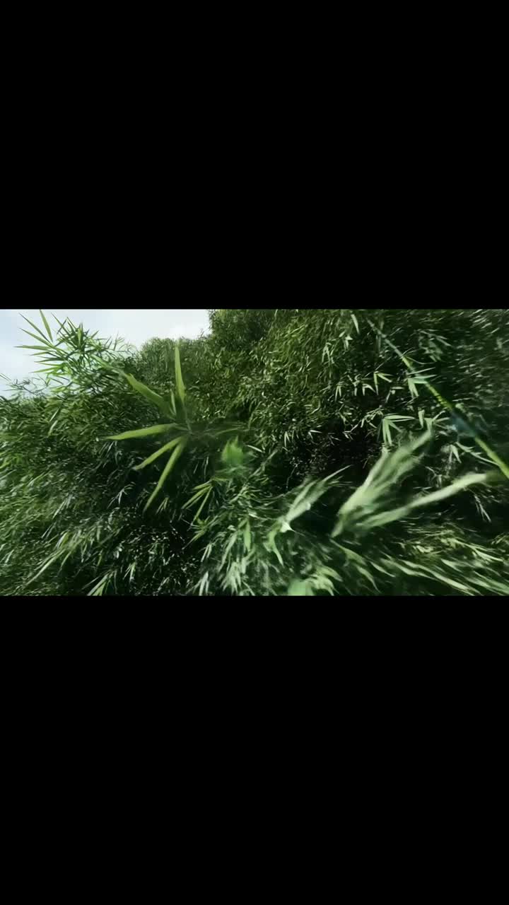 玄幻：老祖太穩健，羅睺來賜福 第9集