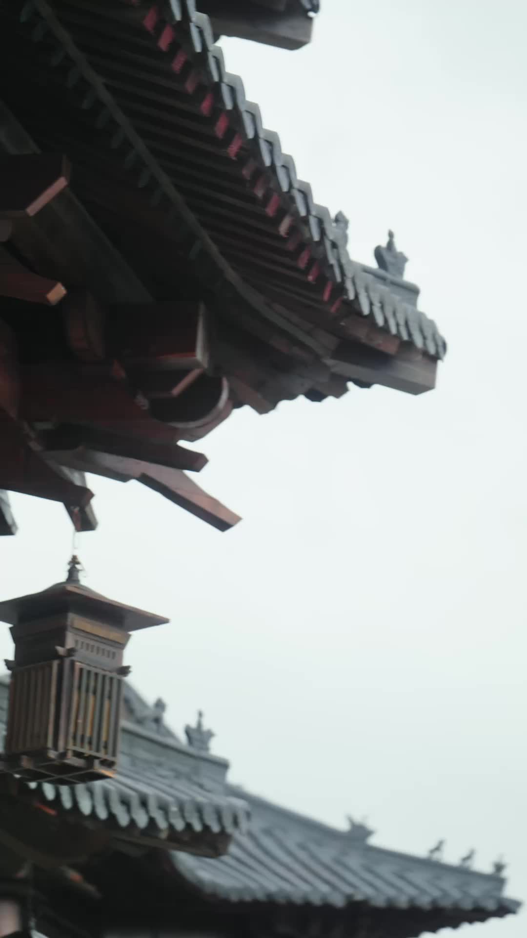 且看云起时 第6集