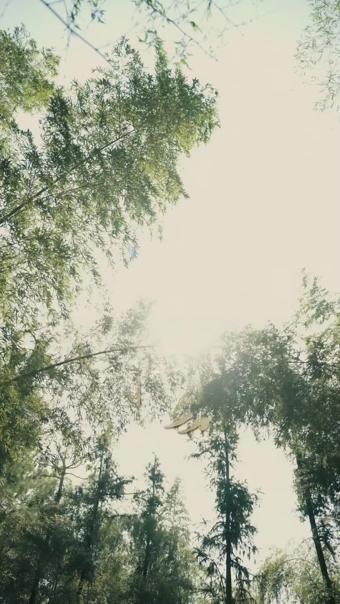 Ep 3
