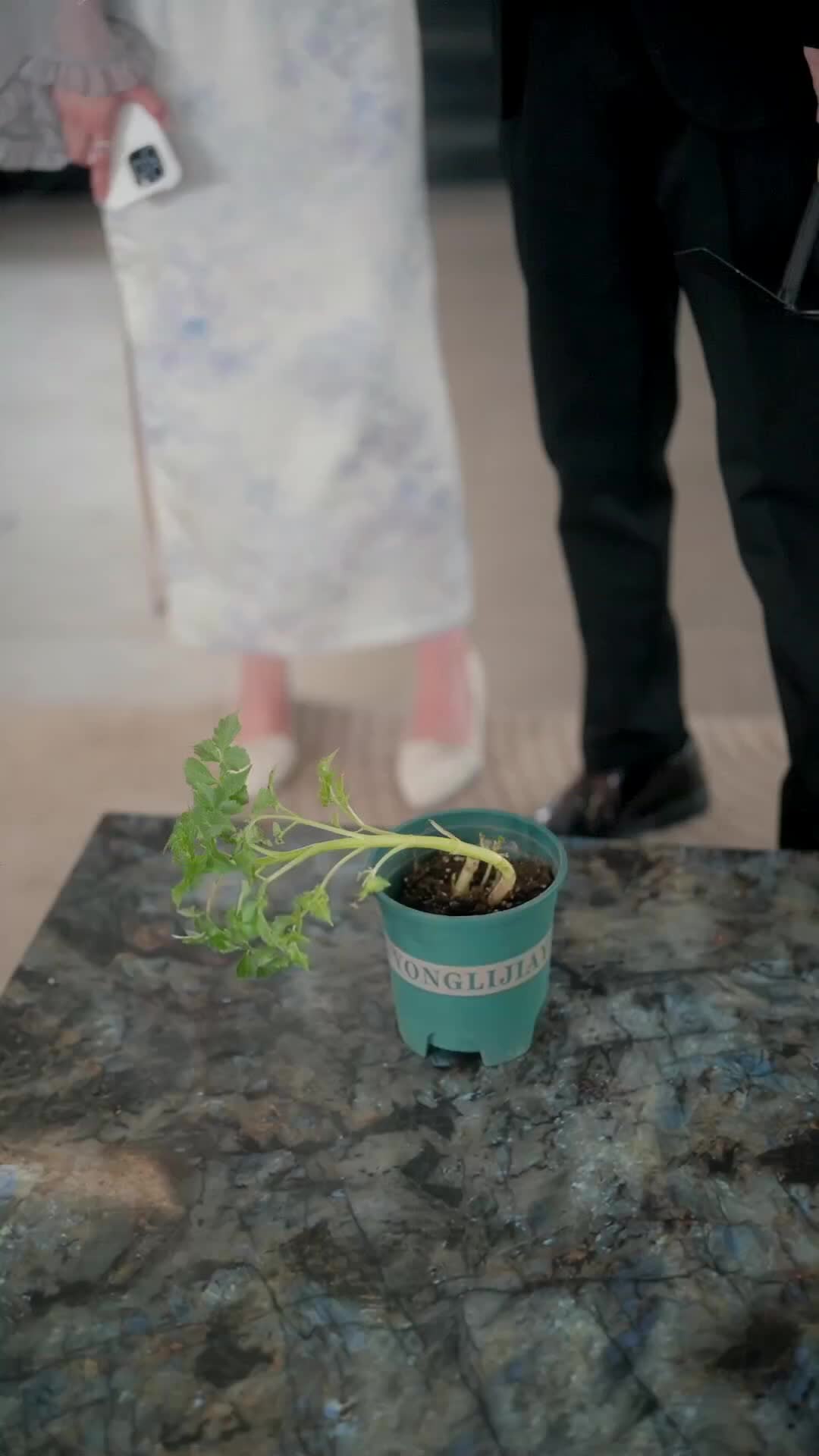 Pernah Tunggu Indahnya Cinta - Episode 32 - Episode 32