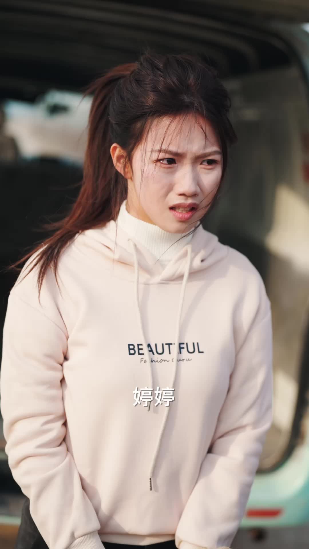 天下无拐之意外归途 第3集