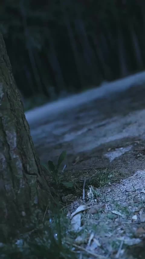 Ep 51