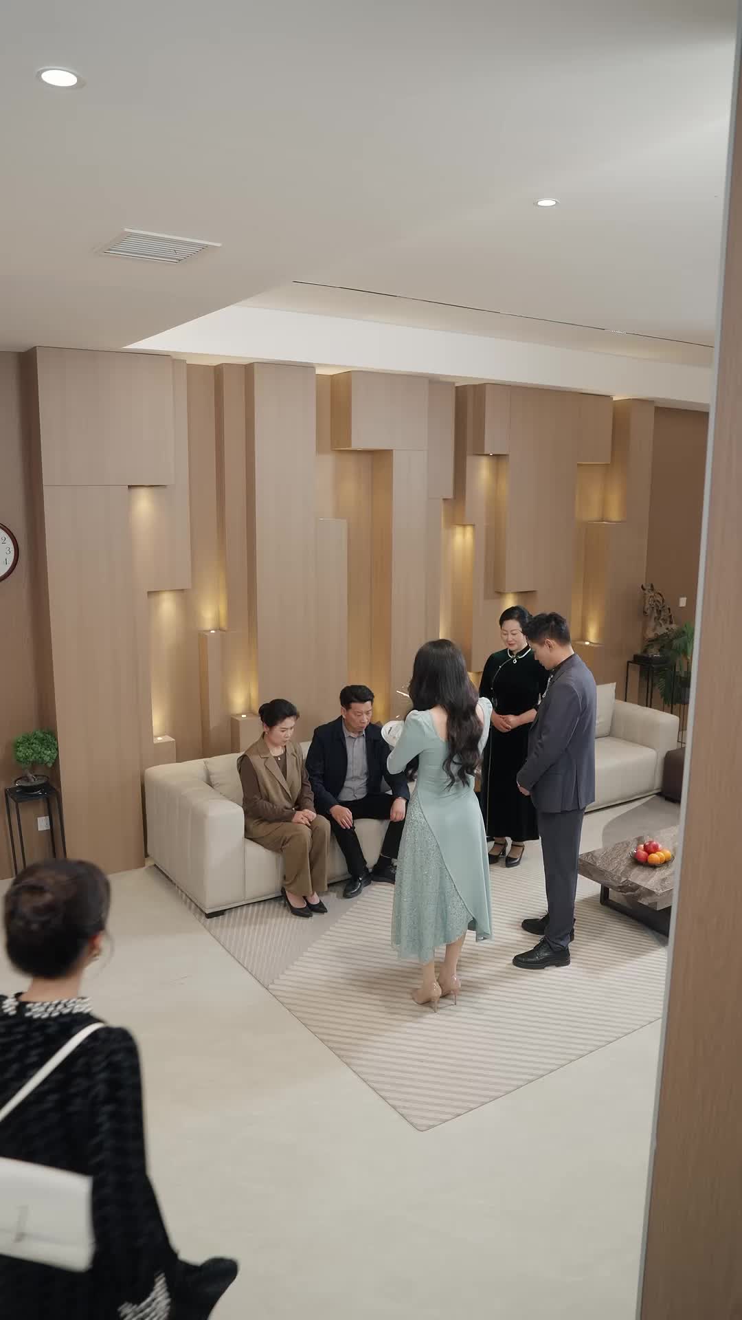 鸠占鹊巢终是梦 第9集