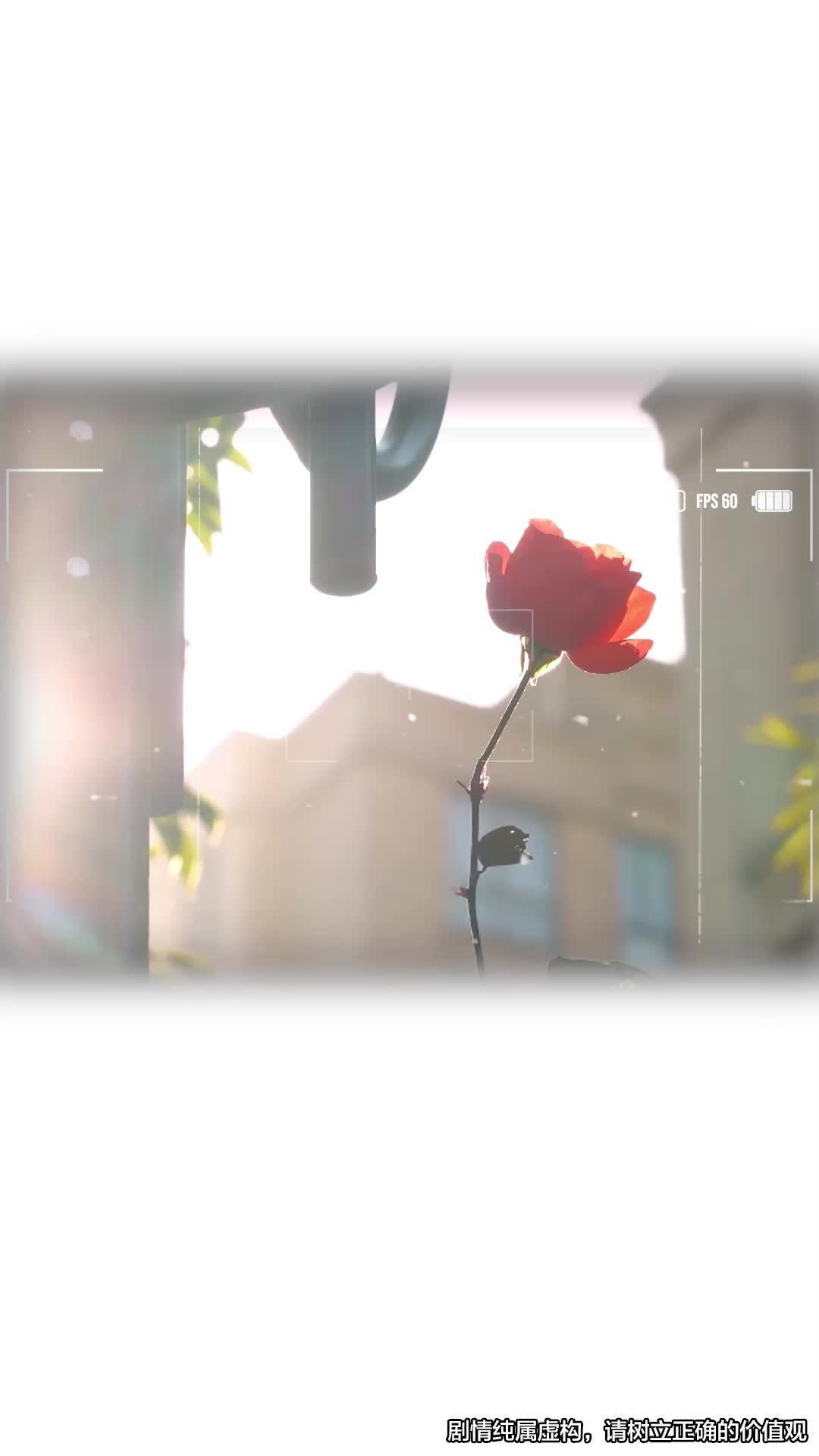 Te olvidé, pero mi corazón no Episodio 1