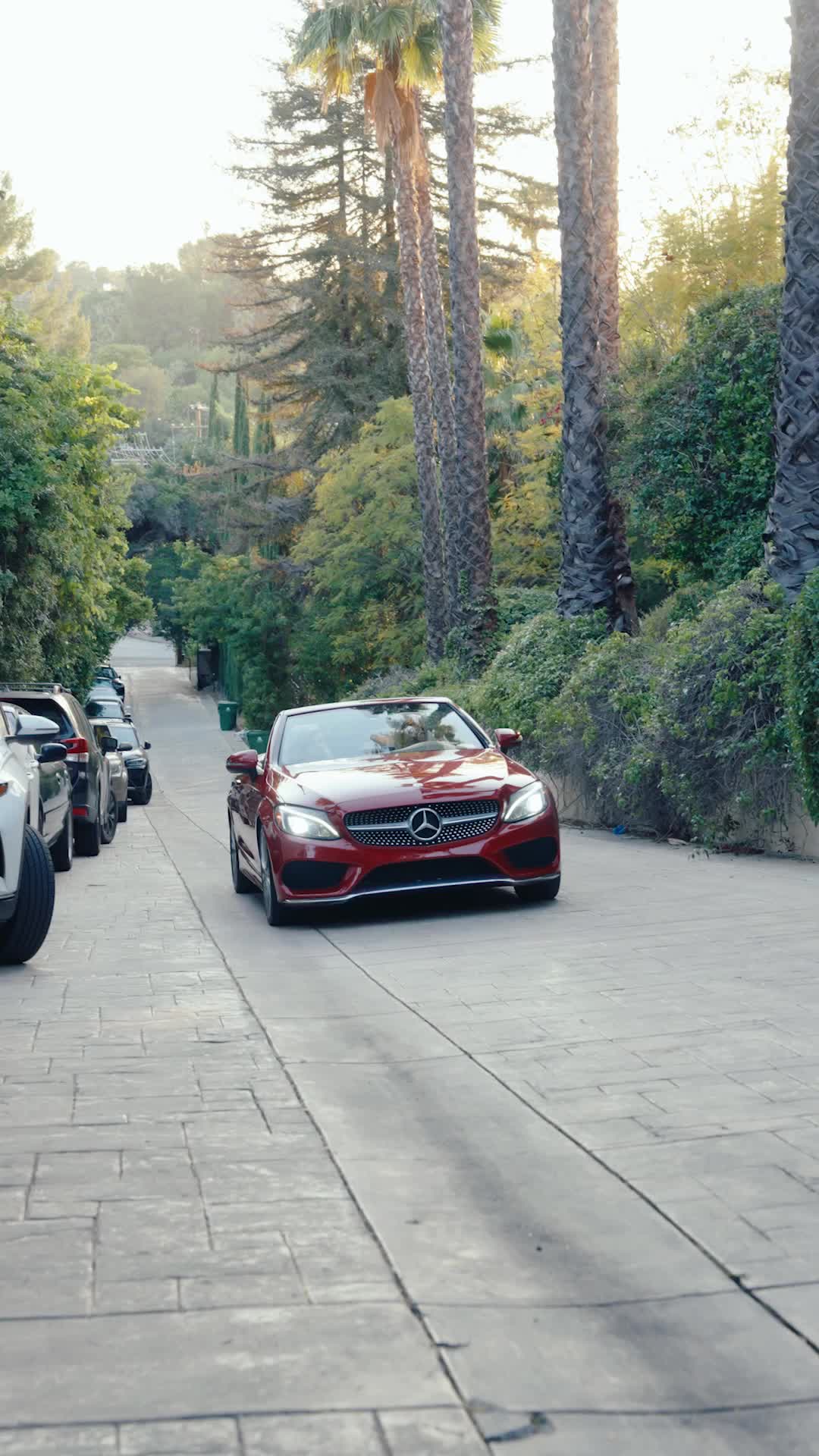 Never Mess With The Undercover Queen Bee Episode 3