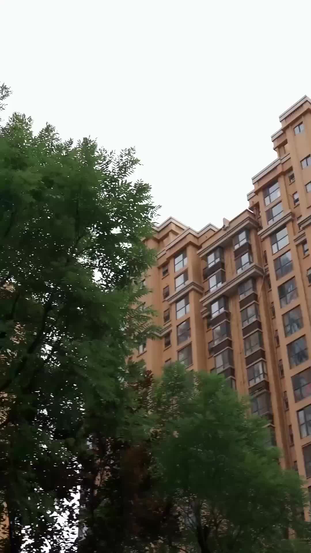 Ep 2
