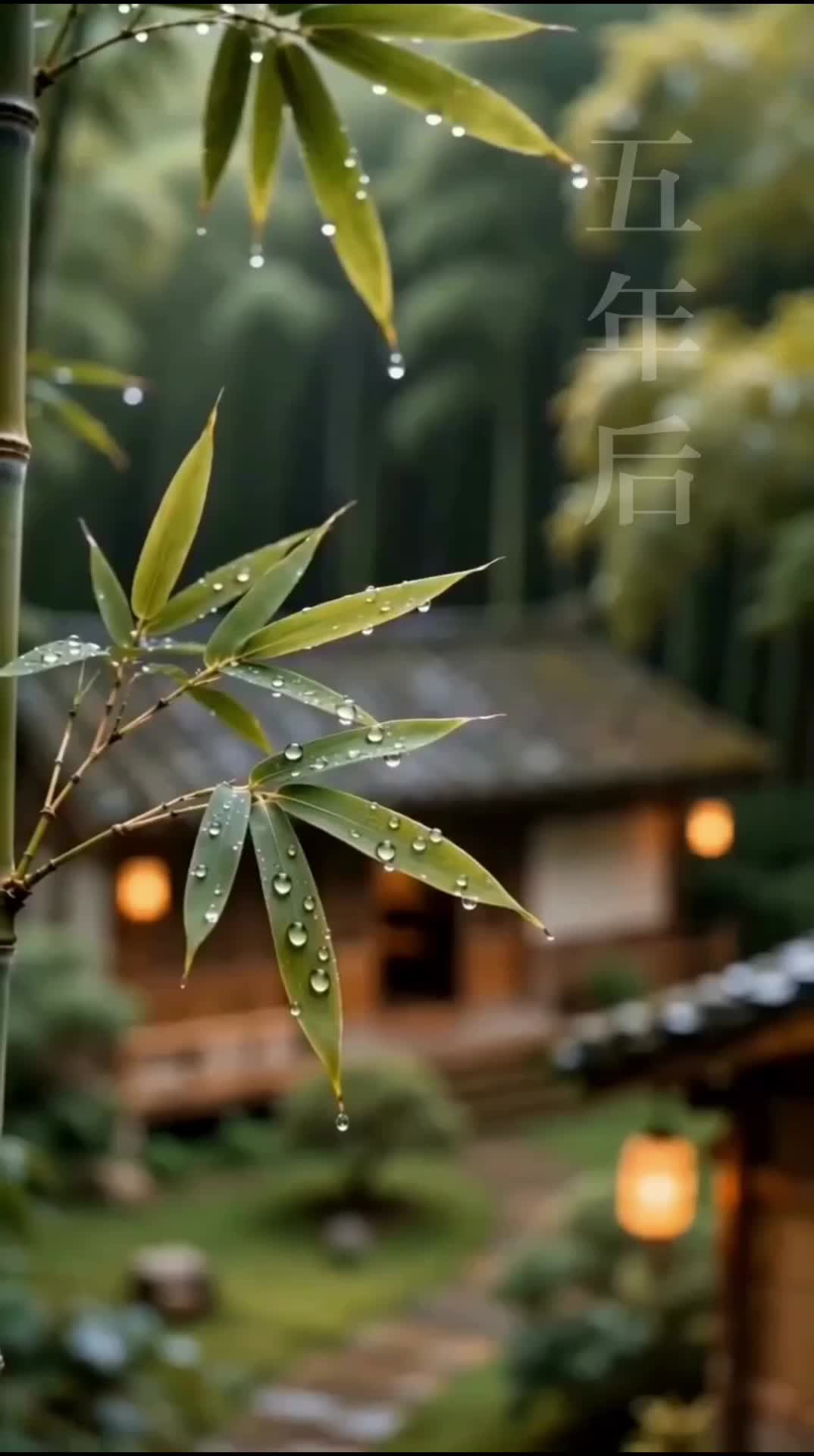 Ep 2