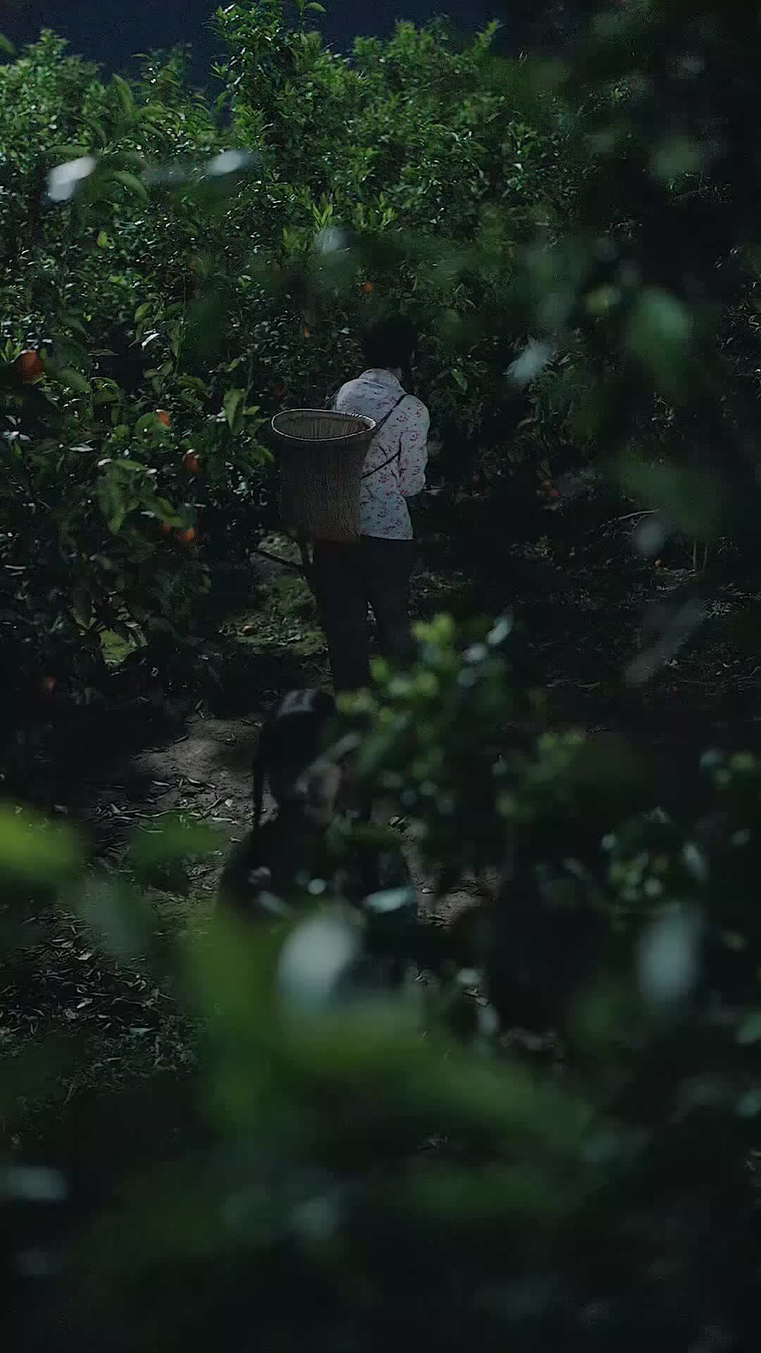 Ep 65