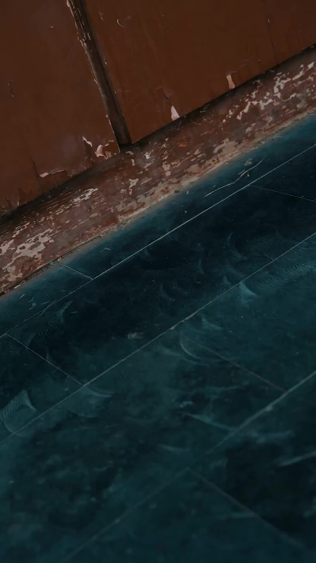 Episode 41