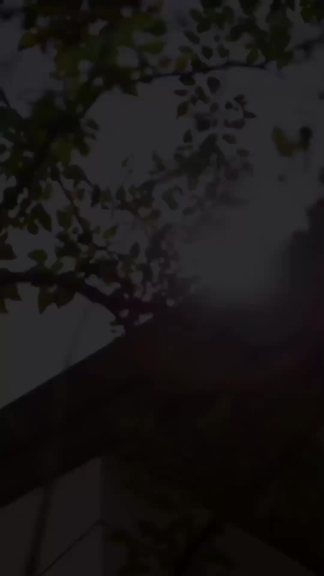Ep 22