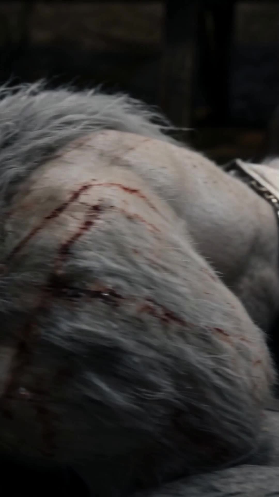 The Male Queen of the Alpha Wolf King Episode 5