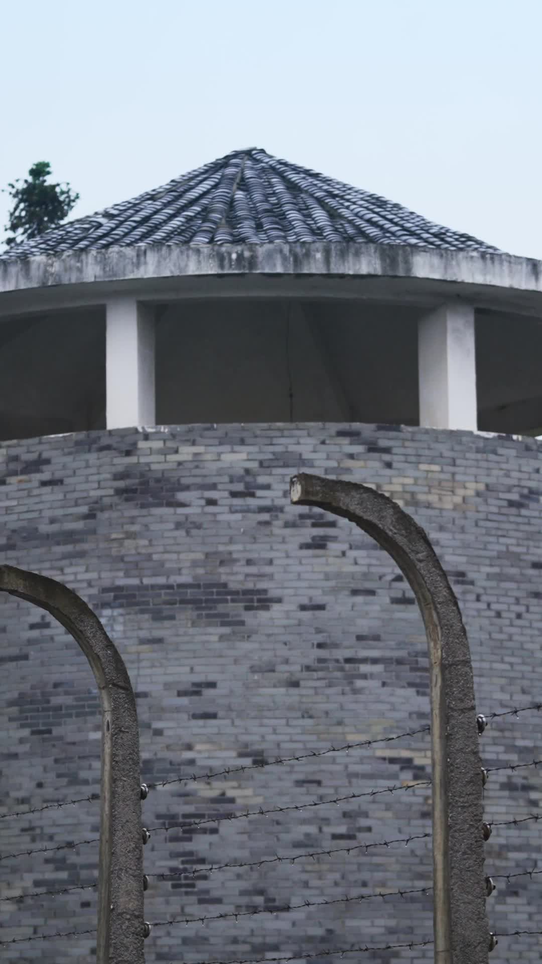 From Prison to Power: The Heiress Unleashed Episode 1