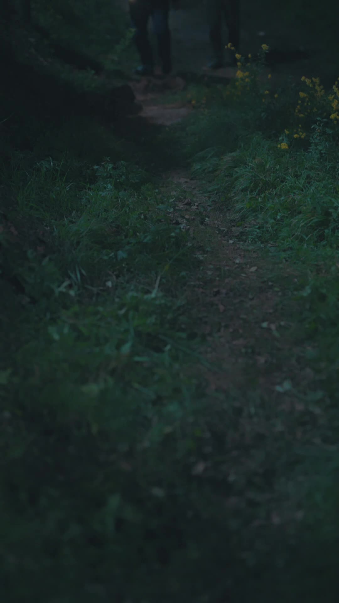 爸妈跑路，福宝带债主发财了 第11集