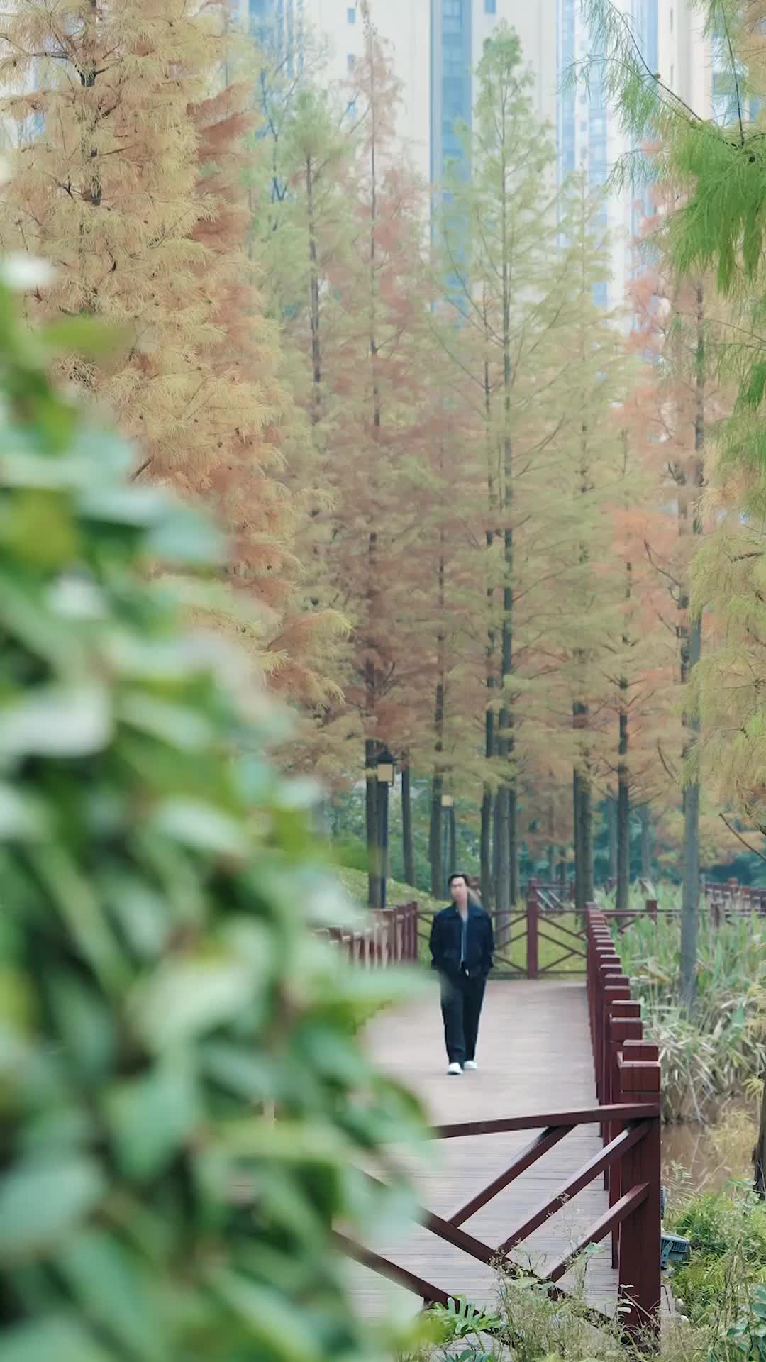  พ้นโทษสู่ไร้เทียมทาน ที่6ตอน