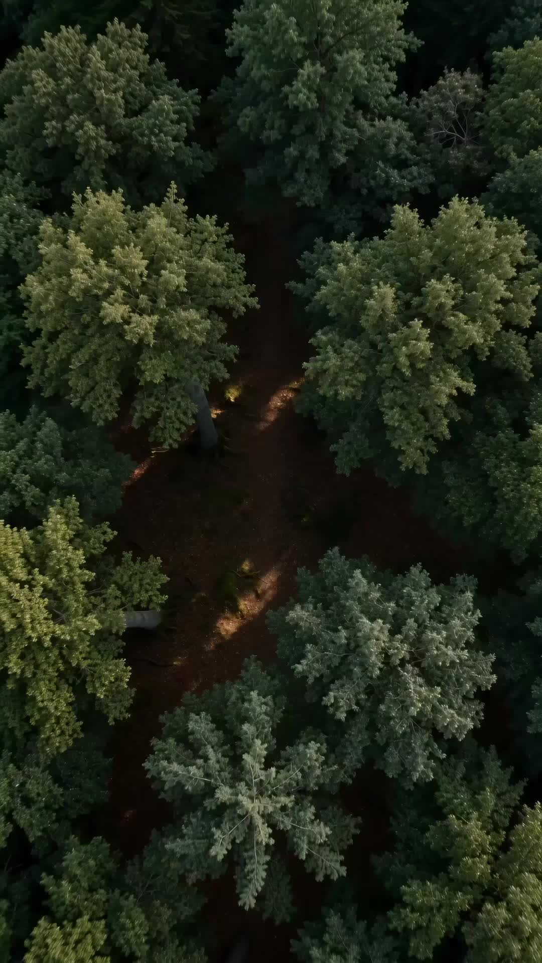 La identidad secreta de la omega rechazada Episodio 1