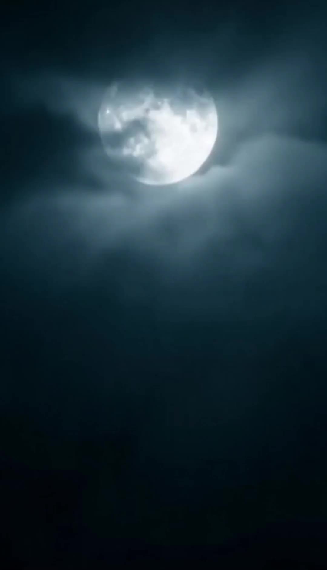 重生之另擇狼伴 第1集