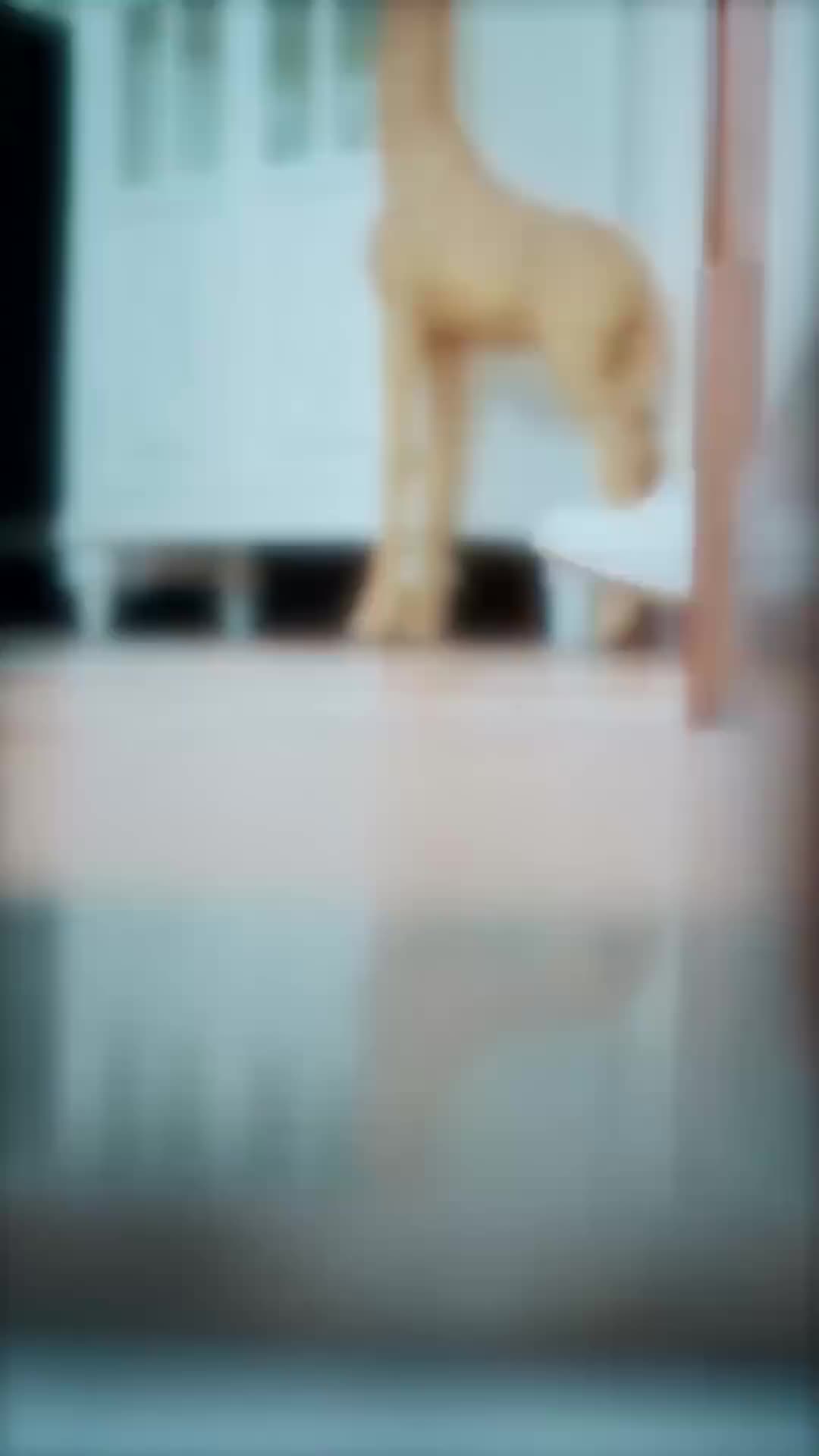 Ep 2