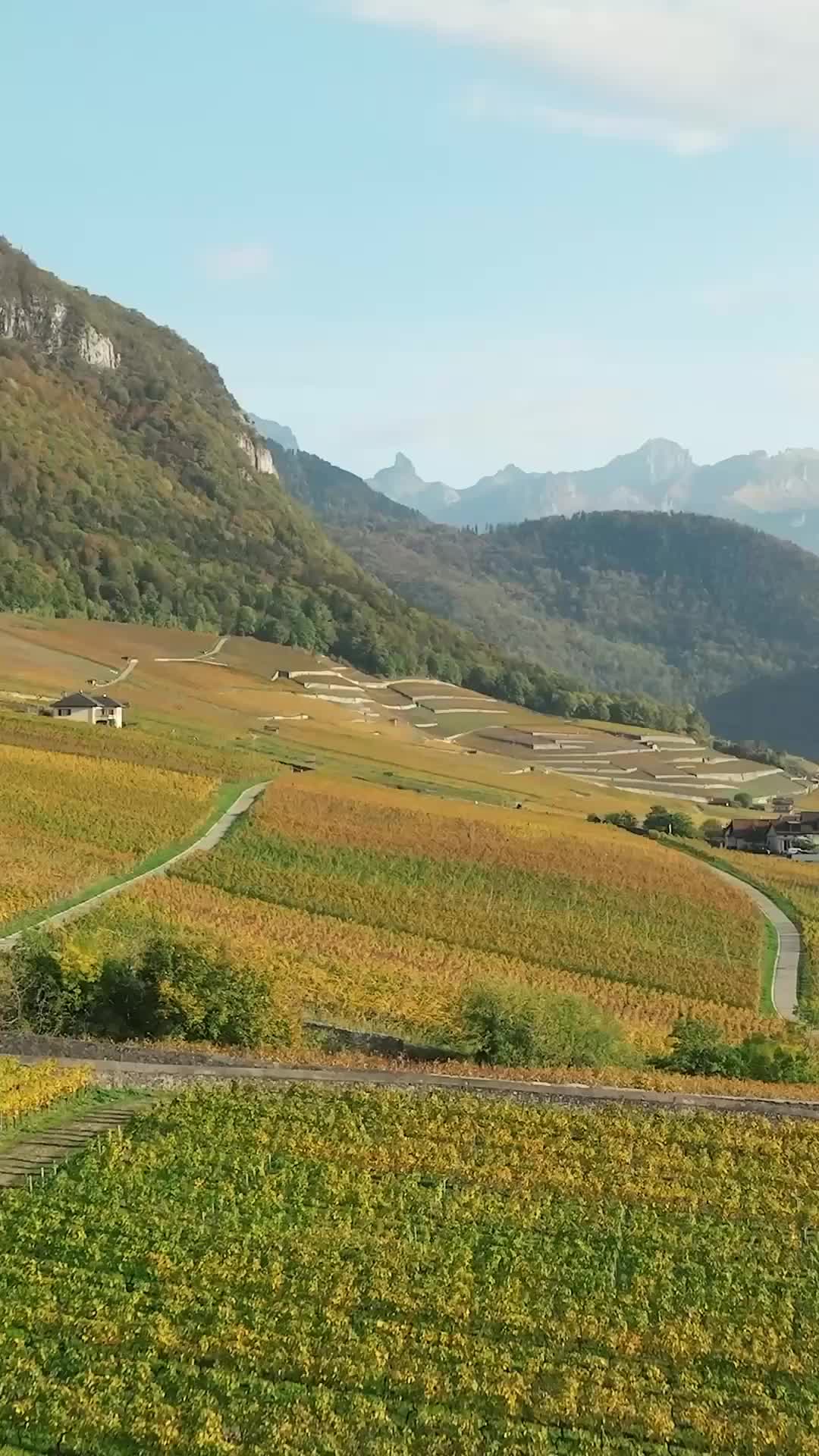 Poślubiłam farmera. Okazał się miliarderem Odcinek 6