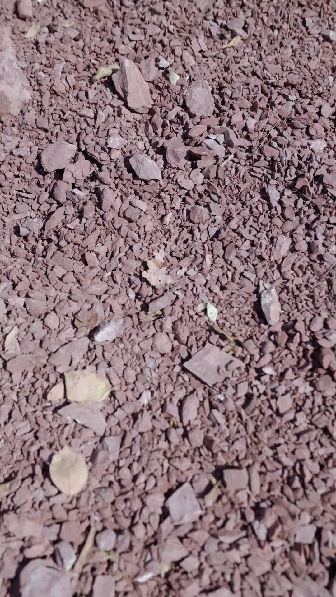 一见君来误此生 第1集