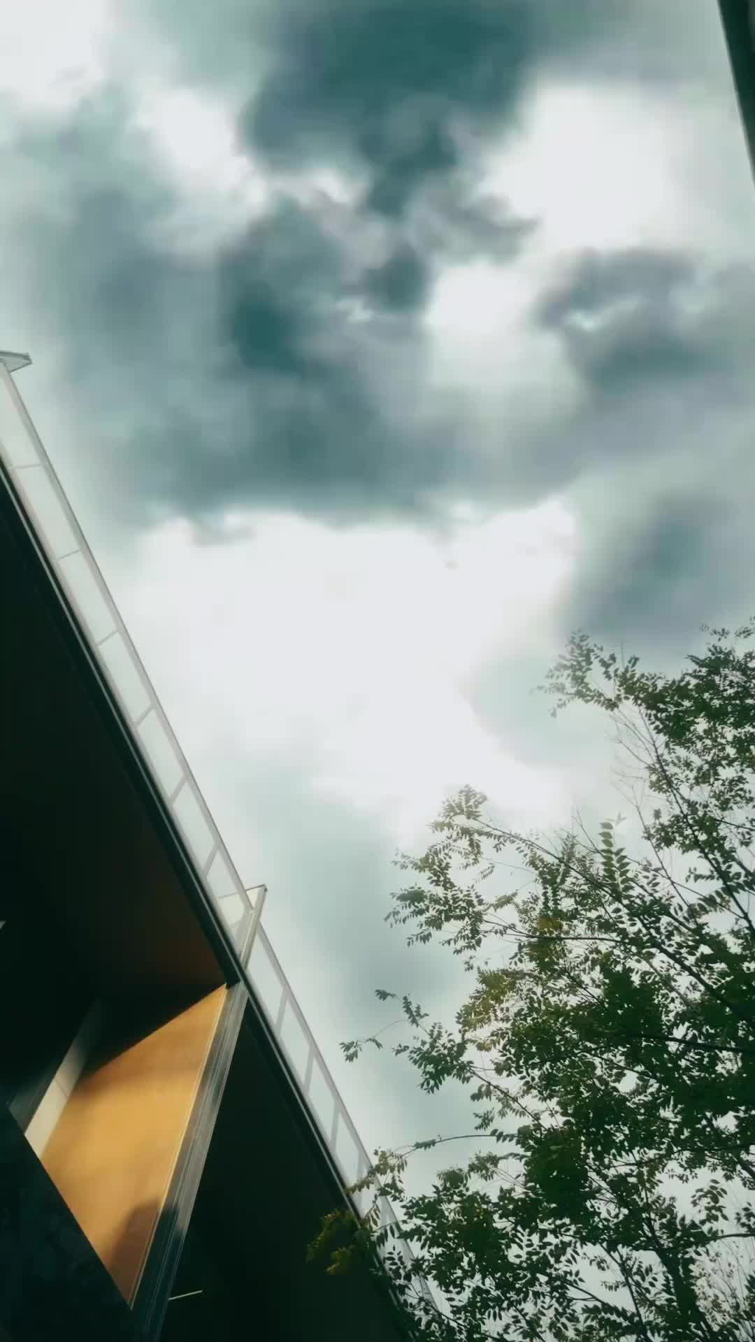Hidden Among Them, Ruler of All Episode 2