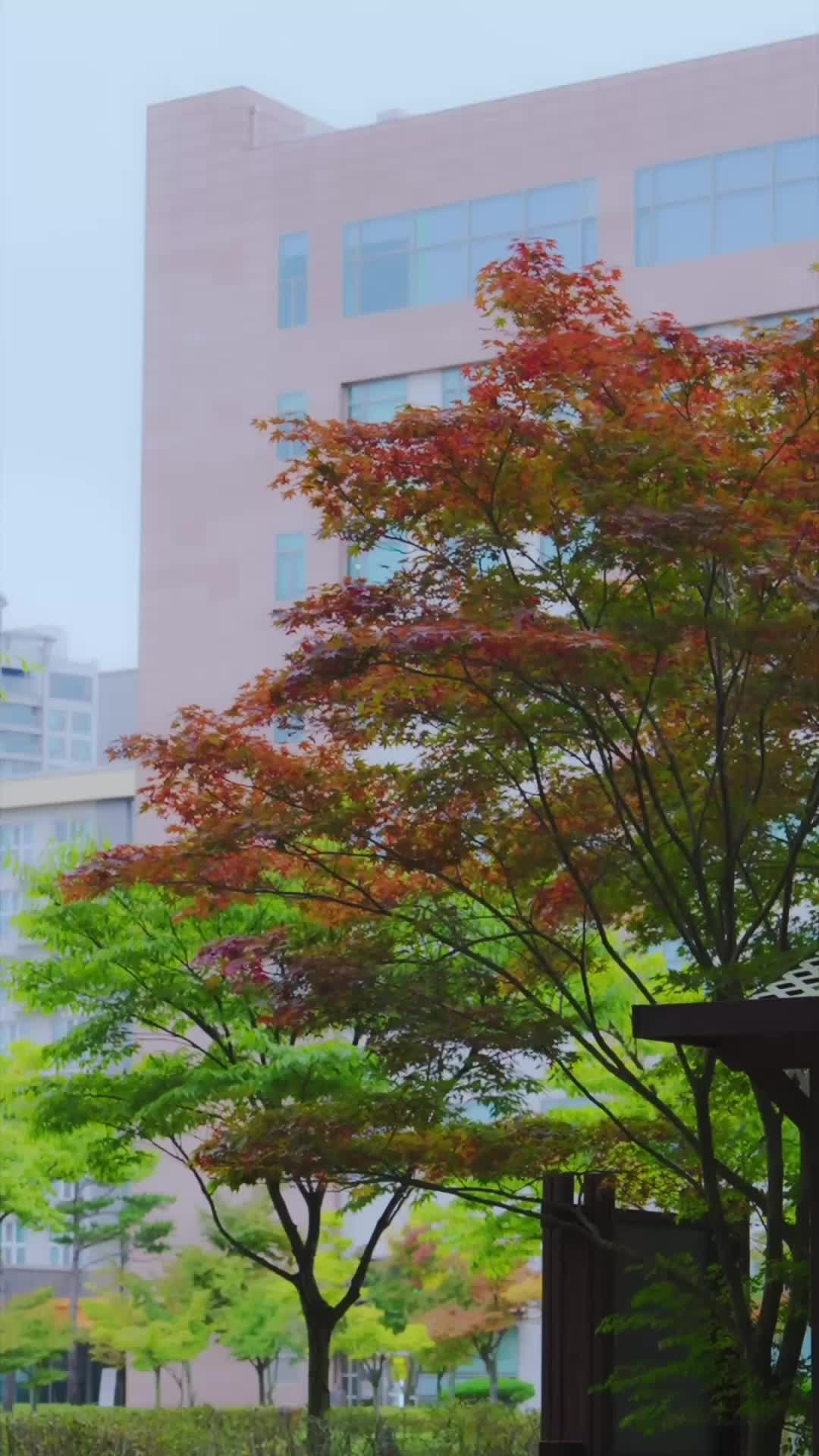 Ep 4