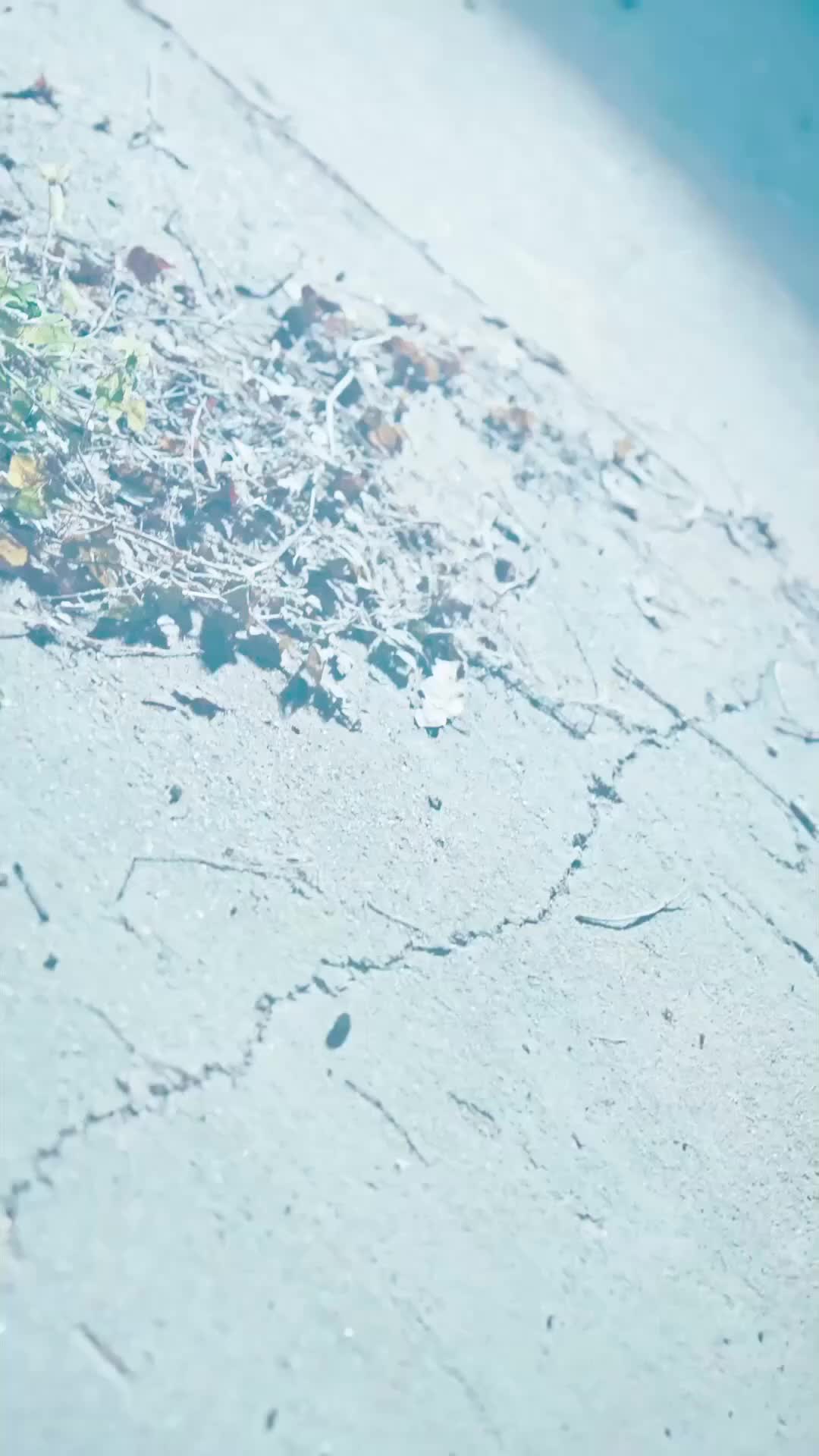 Sesal yang Datang Terlambat - Episode 38 - Episode 38