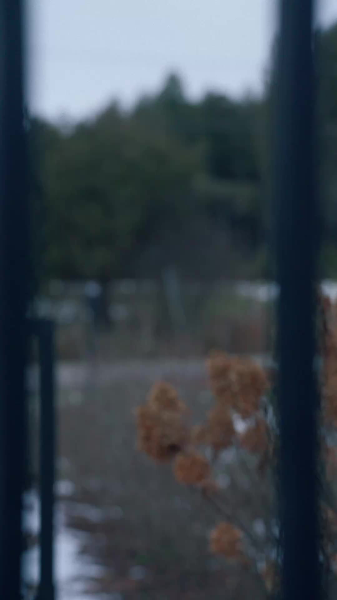 Ep 21
