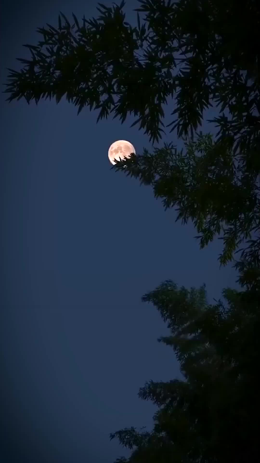 Yang Bersembunyi dalam Sunyi - Episode 1 - Episode 1