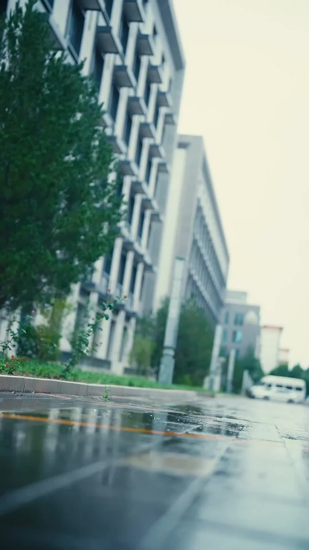 Ep 1