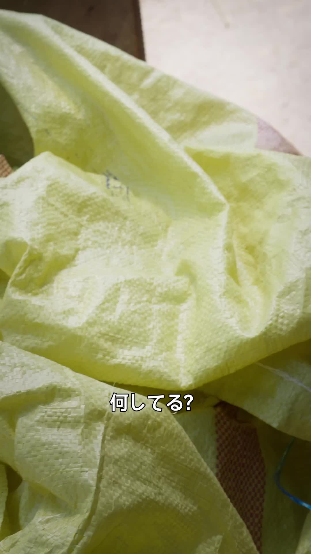 借金取りに拾われた福娘 第 11 話