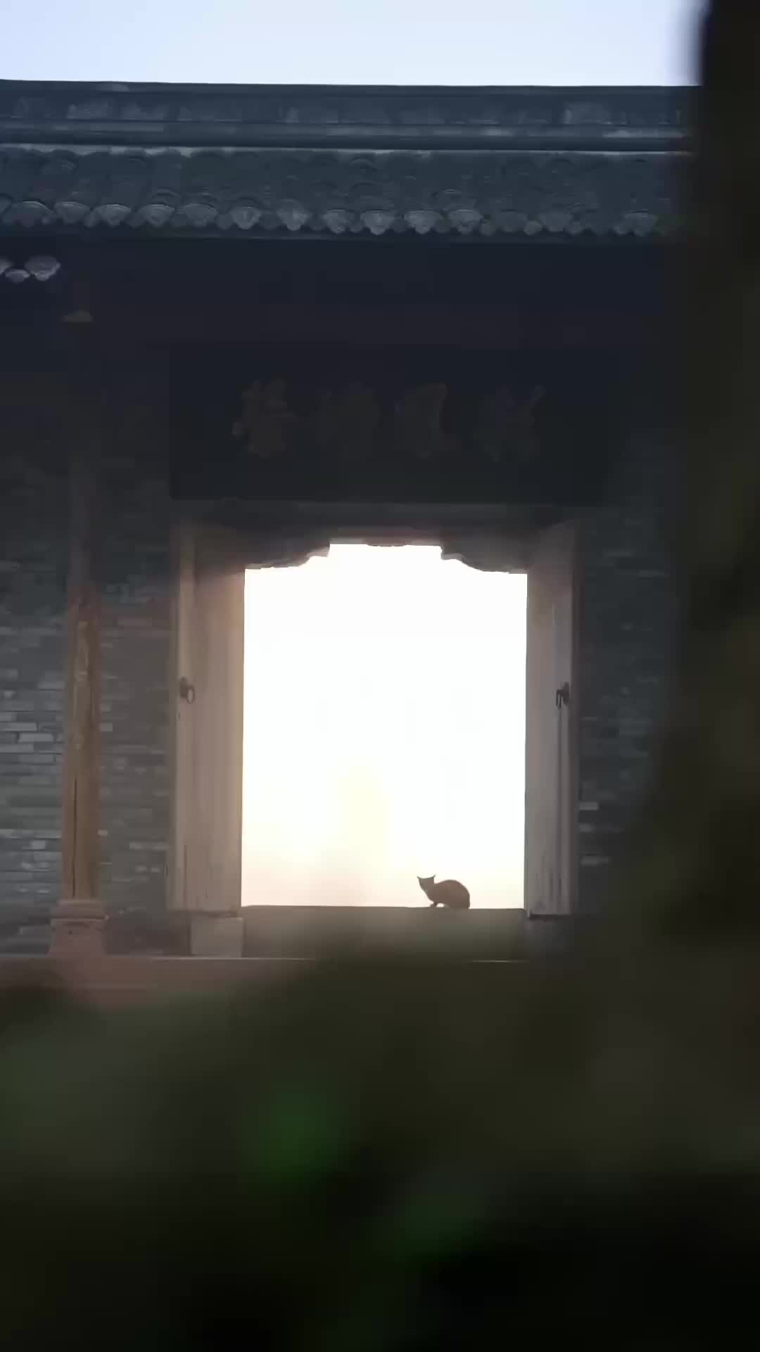 Ep 43