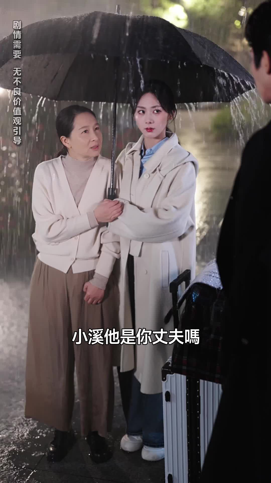 一胎三寶後,總裁求我轉正 第9集
