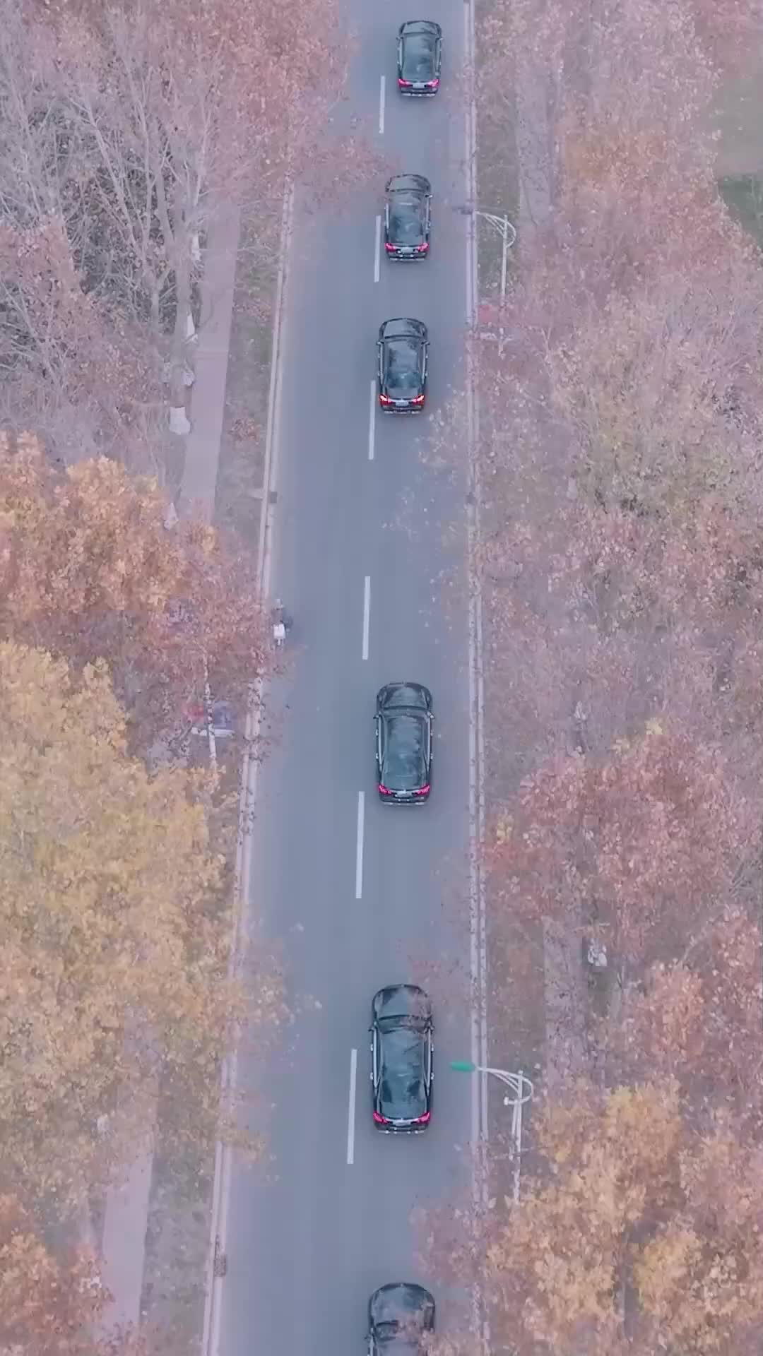 Ep 75