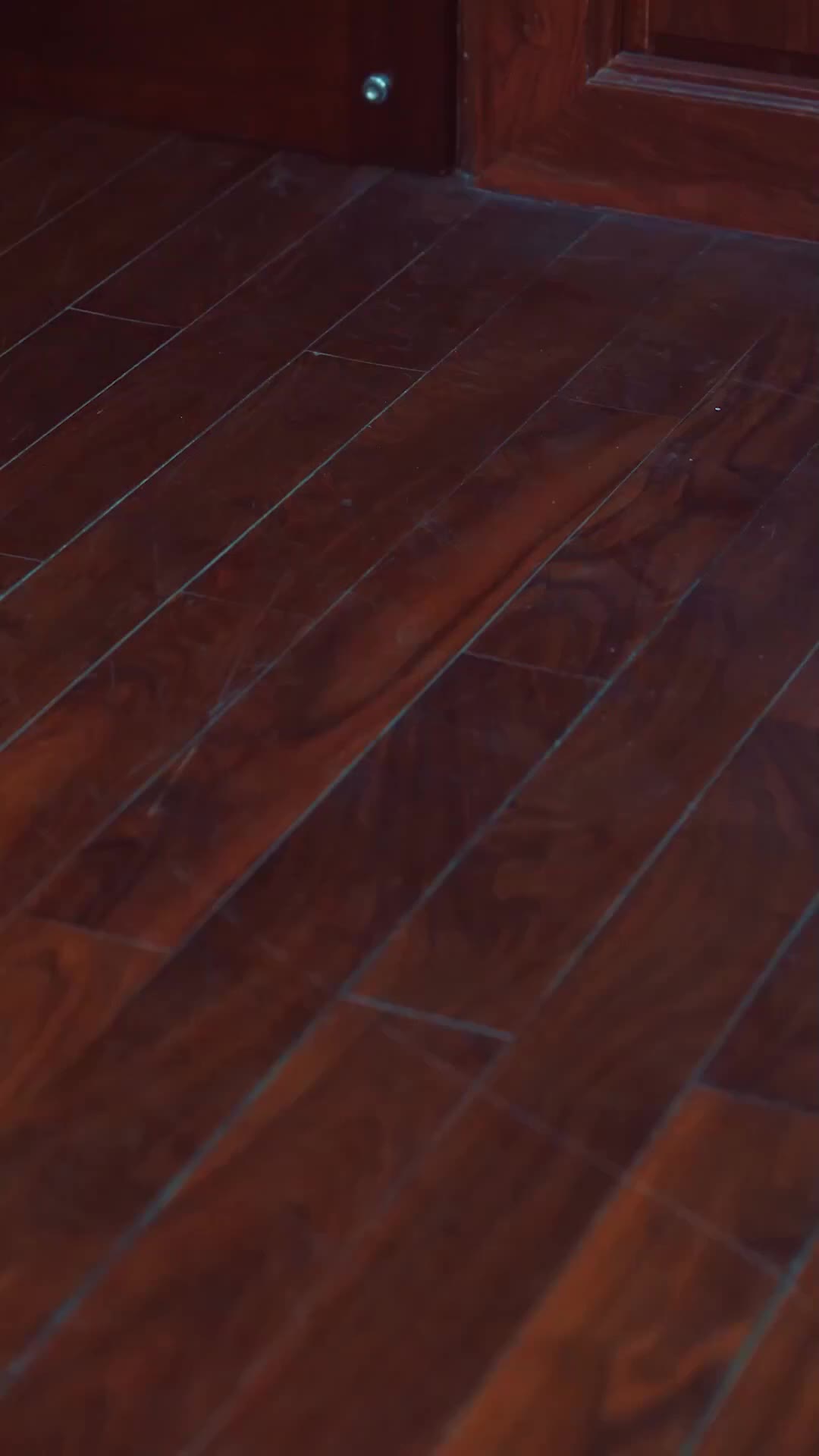 O Vídeo que Mamãe Usa para Me Matar 11Episódio