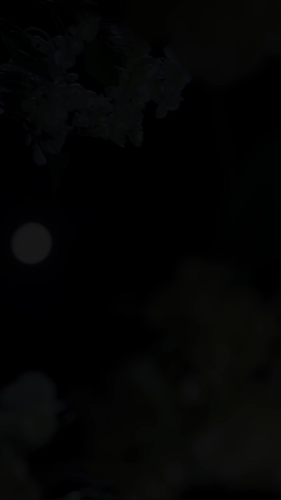 Fate Woven in Revenge Episode 1