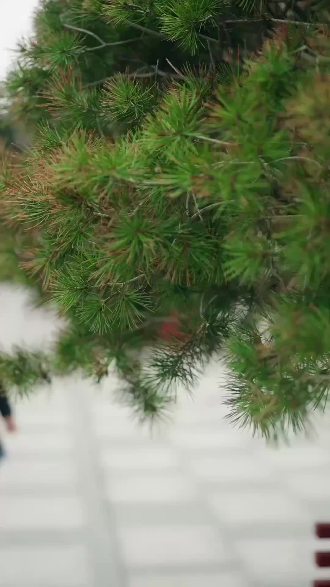 Ep 37