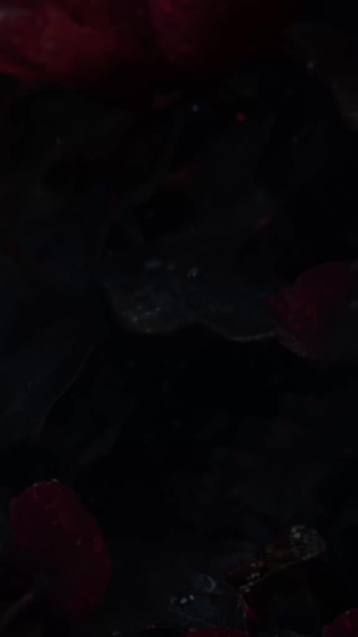 Her Majesty Episode 1