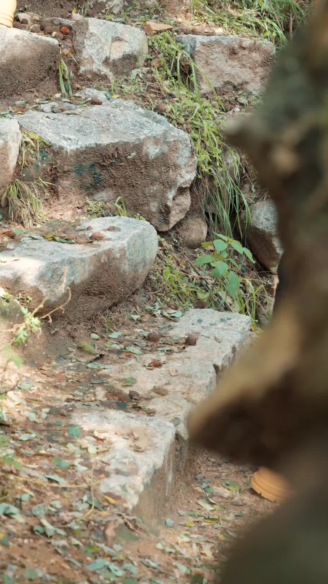春水迢迢,爱恨已消 第8集