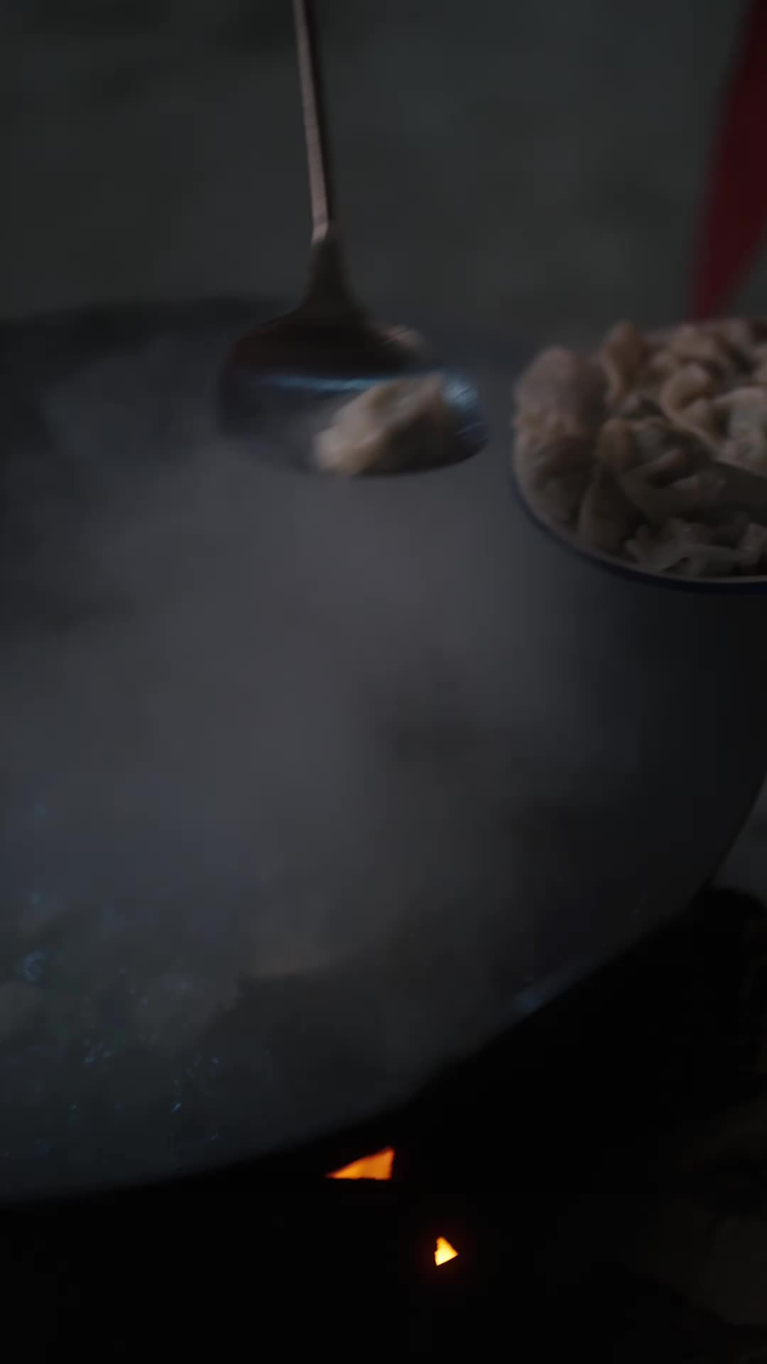 八零福寶帶奶奶發家 第4集