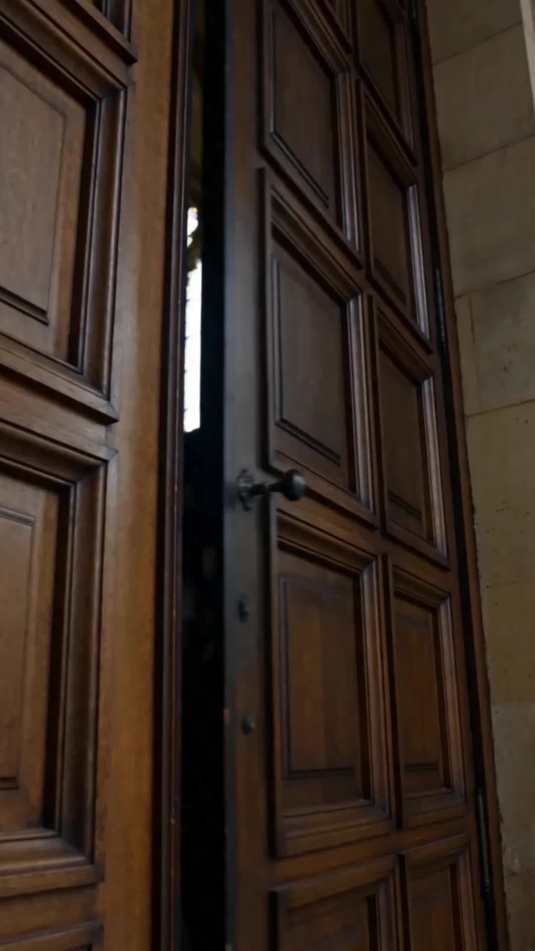 Voltei para Acabar com os Gêmeos Bilionários (Dublado) 4Episódio