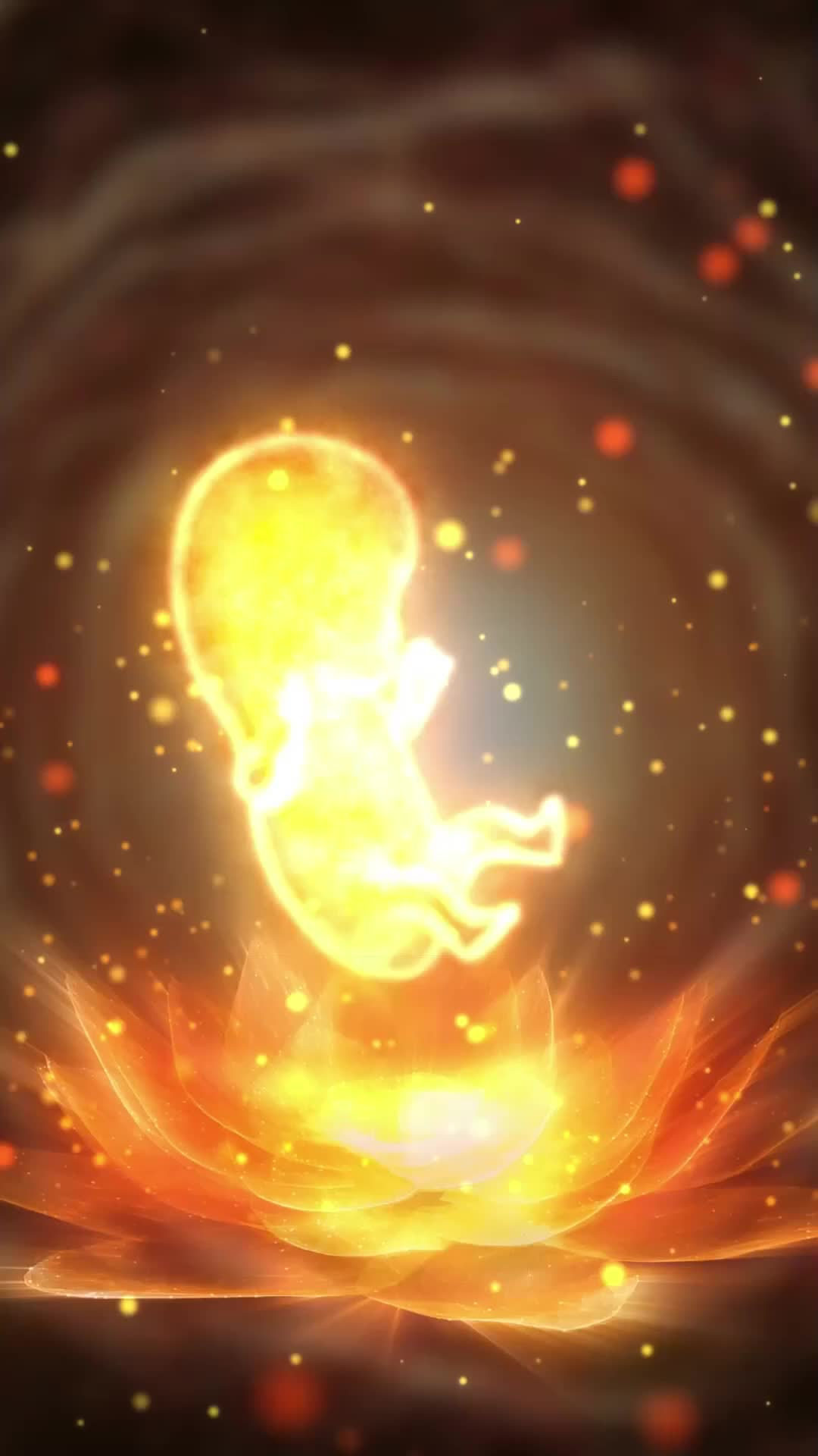 Renascença de Carona: O Nascituro Despertado 7Episódio