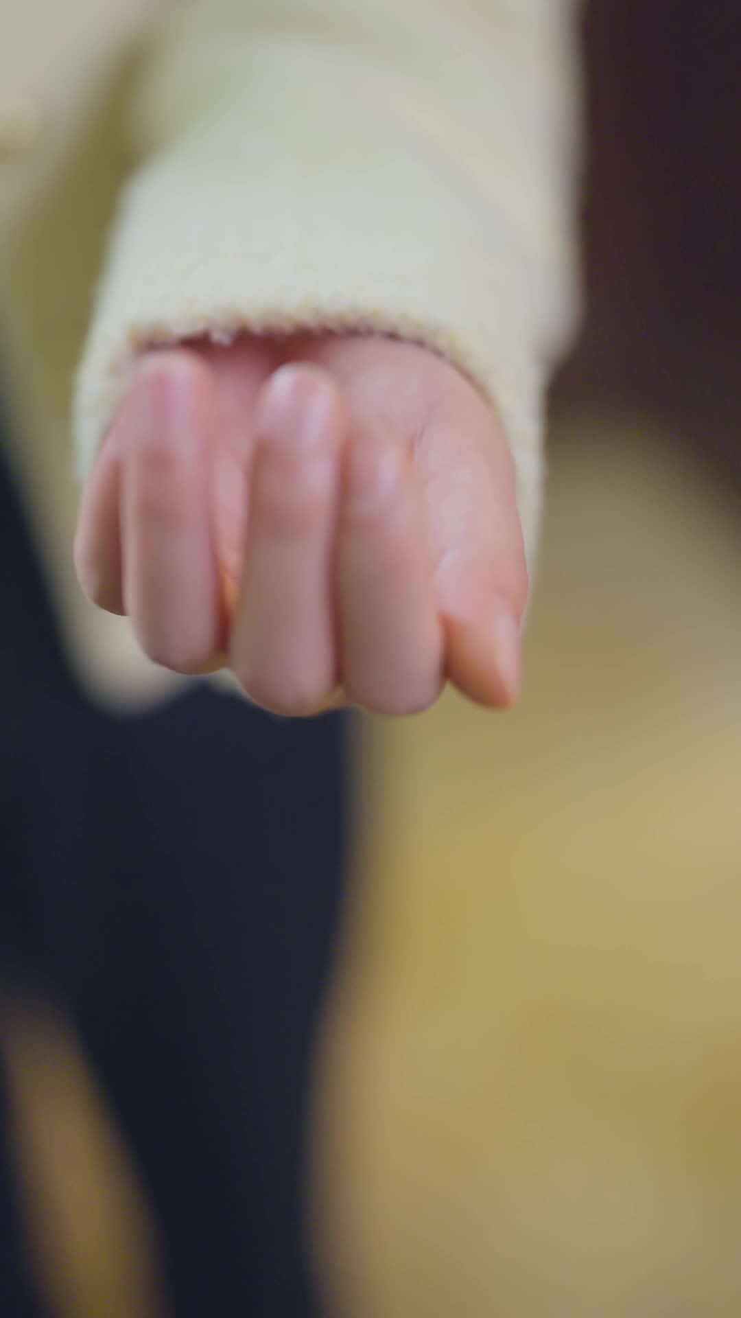 他朝有缘共白头 第5集
