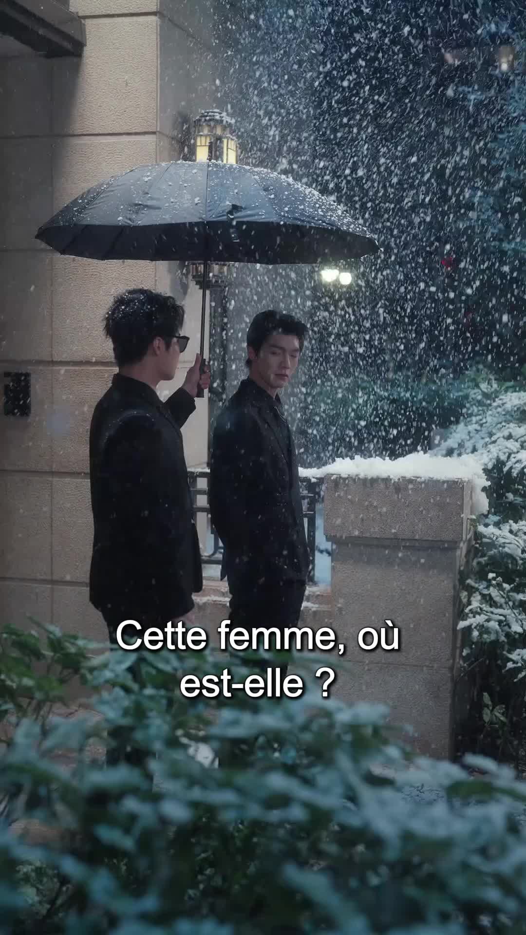 Tu ne M'as Aimée qu'après M'avoir Perdue ( Doublé ) Épisode2